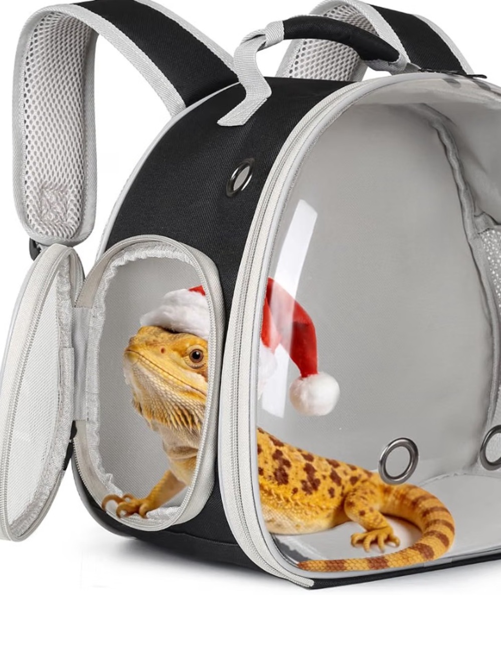 Clear Bubble Pet Backpack Carrier - Black and Clear